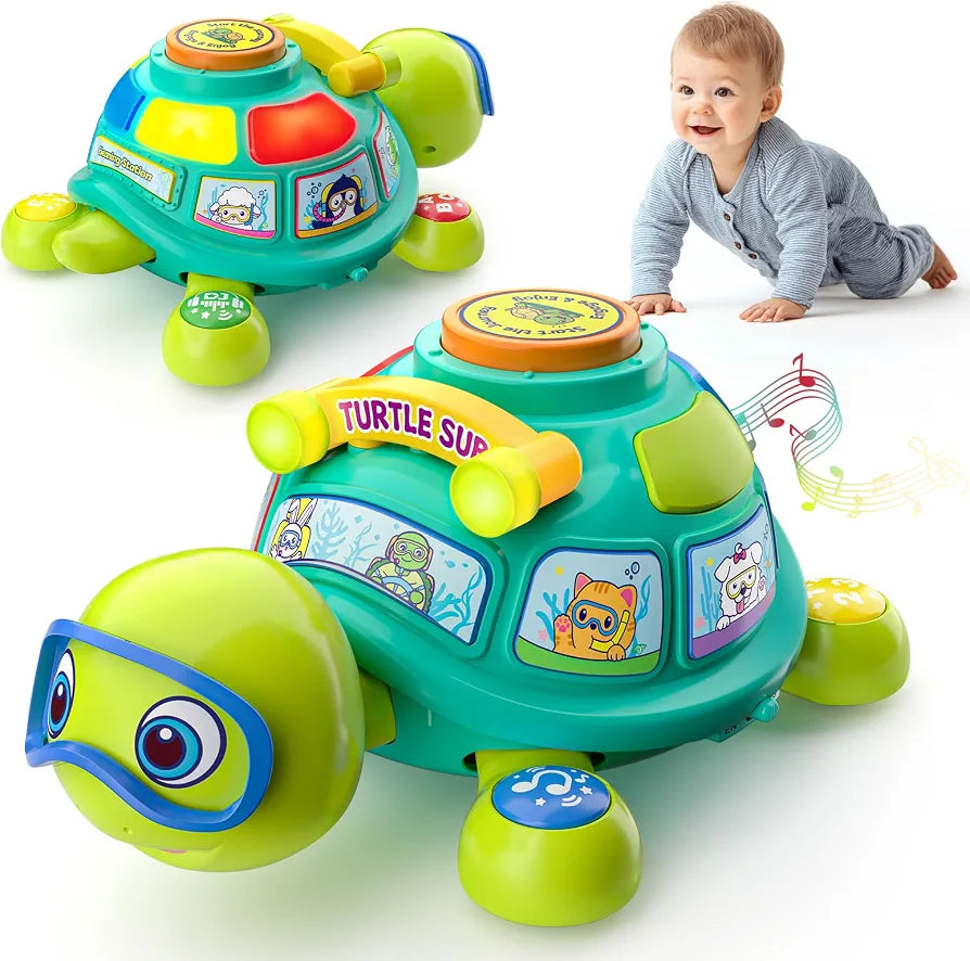 Bilingual Musical Crawling Turtle Toy